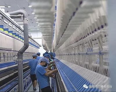 织就冠军之路 我市两家毛巾企业荣膺省级冠军的启示