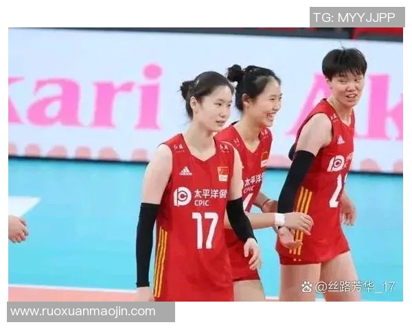 南京排球队灵活性分析与战术适应能力研究