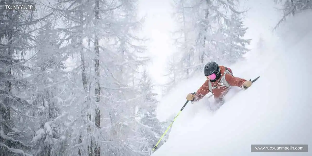 📺高清直播，一键解锁赛场心跳！💥👥